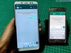 5 Cara Mengatasi WhatsApp Tidak Dapat Mengirim Pesan, Ampuh dan Mudah Dilakukan
