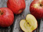 Rekomendasi 4 Buah dan Sayur yang Bisa Memperlancar Pencernaan