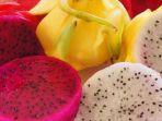 Intip Manfaat dan Cara Membuat Masker Wajah dari Buah Naga
