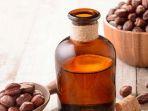 Intip 5 Manfaat Kandungan Jojoba Oil Pada Skincare