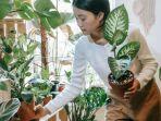 Buka Jendela, Peluk Tanaman, Yuk Segarkan Udara Rumahmu dengan 3 Cara Ini