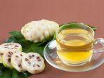 9 Manfaat Minum Air Rebusan Mengkudu Sangat Menakjubkan, Begini Cara Membuatnya