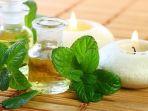 6 Manfaat Daun Mint untuk Keperluan Rumah Tangga, Bisa Bantu Usir Semut Loh!