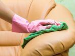 5 Tips Membersihkan Noda Jamur di Berbagai Jenis Bahan Sofa