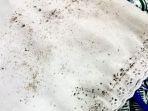 10 Tips Mengatasi Noda Jamur Hitam di Baju Tanpa Perlu Menyikat Kuat