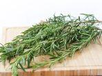 8 Khasiat Rosemary untuk Tubuh, Rempah Terkenal yang Bisa Menunjang Kesehatan