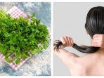 10 Manfaat Seledri untuk Rambut, bisa Dibuat jadi Hair Mask Alami yang Low Budget