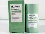 Review Clay Mask Stick SKINTIFIC Warna Hijau, Punya Kandungan Mugwort yang Ampuh Hempas Jerawat