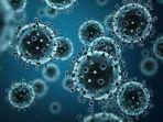 Jaga Imunitas Tubuh Saat Pandemi, Konsumsi Makanan Bernutrisi dan Buah yang Mengandung Vitamin C