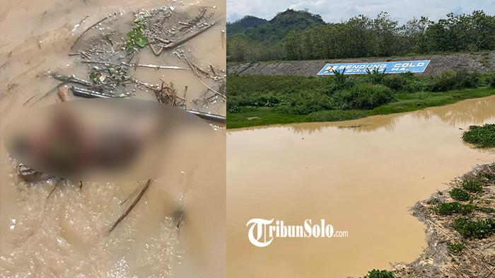 TEMUAN MAYAT MENGAPUNG - Potret Bendung atau Dam Colo di Nguter, Sukoharjo, Rabu (22/10/2025). Warga di sekitar pintu DAM Colo, Kecamatan Nguter, Kabupaten Sukoharjo, digemparkan dengan penemuan sesosok mayat yang mengambang di aliran Bengawan Solo pada Rabu (22/10/2025) pagi.