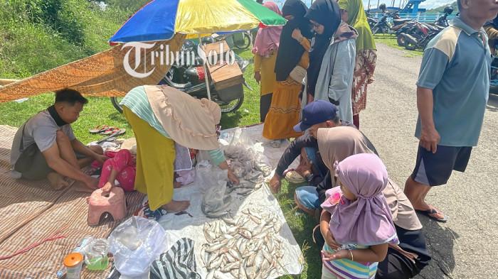 IKAN HASIL TANGKAPAN. Pintu Air DAM Colo Ditutup, Ratusan Warga Berburu Ikan, Selasa (18/11/2025). Warga menyerbu untuk mencari ikan.