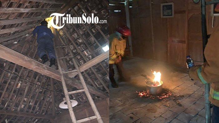 Selain Memadamkan Api, Damkar Wonogiri Punya 'Tugas Sampingan' : Evakuasi Sarang Tawon hingga Ular