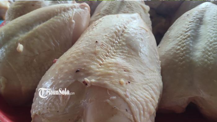 HARGA NAIK - Potret daging ayam di Pasar Jungke, Kabupaten Karanganyar, Senin (16/2/2026). Harga daging ayam di Pasar Jungke, Kabupaten Karanganyar, melonjak hingga Rp 40 ribu per kilogram menjelang Ramadan. Kenaikan harga daging ayam ini dipicu tingginya permintaan masyarakat yang mulai bersiap menyambut bulan suci.