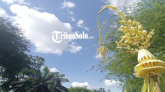 Janur kuning yang menghiasi kawasan Mangkunegaran, Sabtu (10/12/2022).