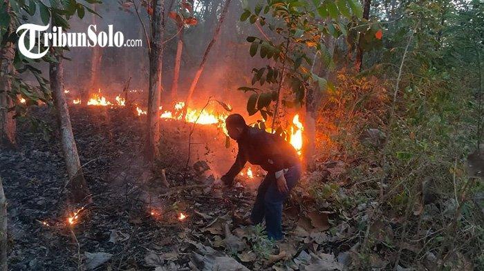 Kebakaran Hutan di Bulu Sukoharjo : 10 Jam Padamkan Api, Kini Masih Dipantau Warga