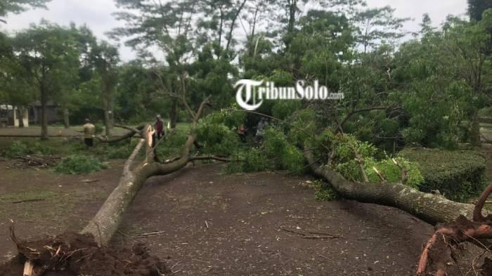 Kebun raya indrokilo