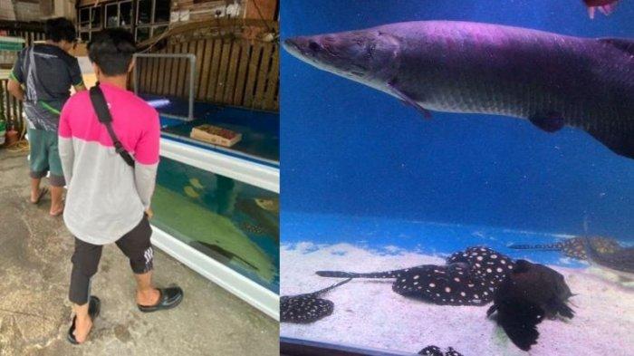 Nganggur Kena PHK, Pria Ini Iseng Taruh Akuarium di Depan Rumah, Tak Disangka yang Terjadi Kemudian