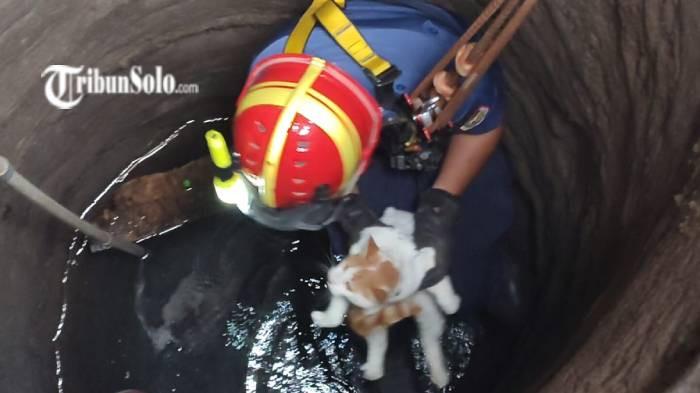 Kucing tercebur sumur 23