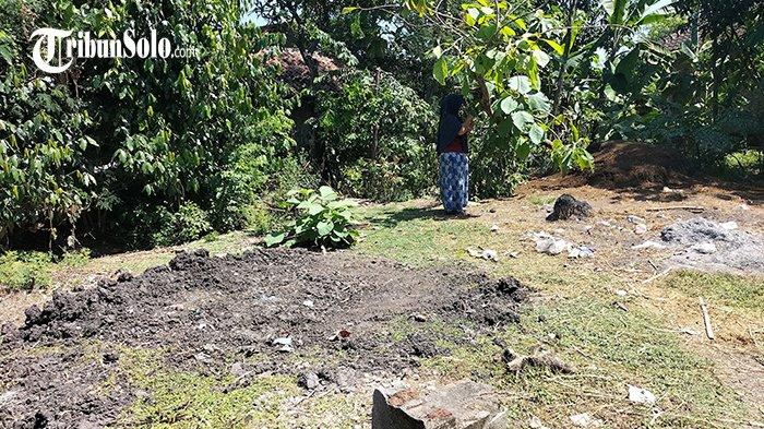 Nelangsa Warga Jurangjero Sragen, 3 Sapi Mati Dalam Seminggu Gegara PMK, Empat Suntikan Tak Manjur