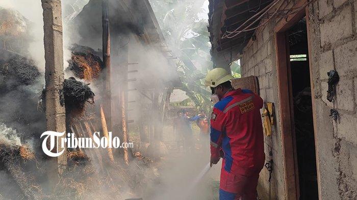 Kebakaran Kandang Sapi di Karanganyar Jateng Bikin Panik Warga, Ternyata Gegara Korsleting Listrik