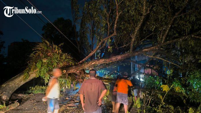 POHON ROBOH - Pohon roboh menutup jalan oleh relawan dan warga di Desa Sribit, Kecamatan Delanggu, Kabupaten Klaten, Kamis (14/5/2026) malam. Hujan angin yang melanda Kecamatan Delanggu, Kabupaten Klaten, pada Kamis (14/5/2026) malam menyebabkan sejumlah pohon tumbang dan mengganggu aktivitas warga