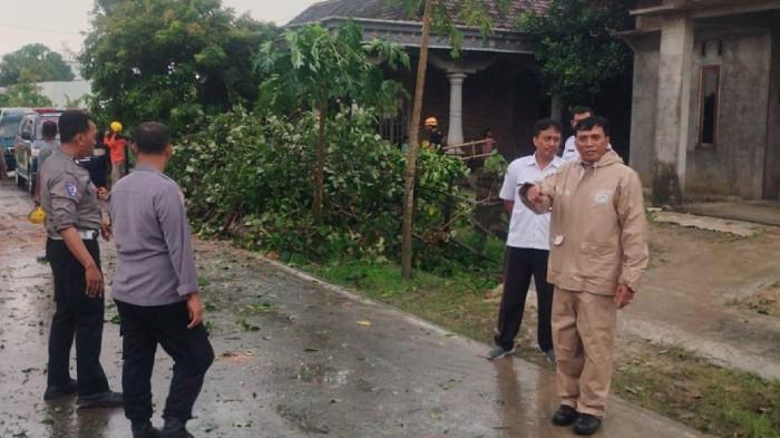 Diterjang Angin Ribut, Rumah Lansia di Masaran Sragen Rusak Tertimpa Pohon Jati