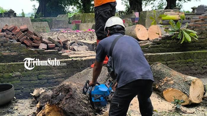 Pohon tumbang klaten satu