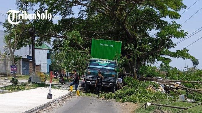 Pohon Tumbang di Sragen : Timpa Kontainer dan Motor Mio, 1 Orang Patah Tulang
