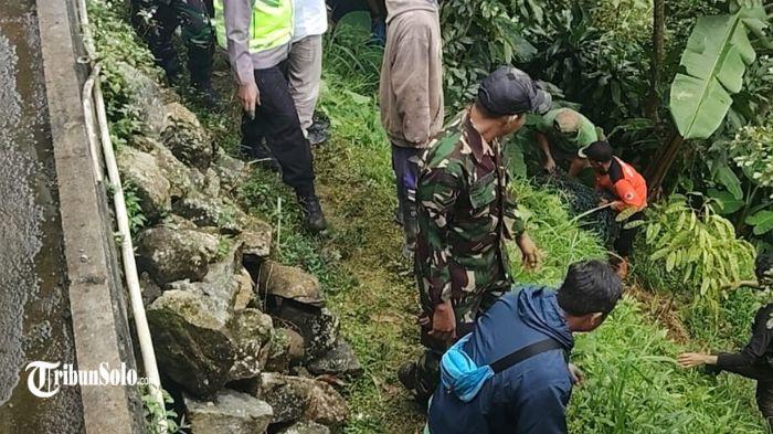 EVAKUASI - Proses evakuasi Macan Tutul di Desa Sepanjang, Kecamatan Tawangmangu, Kabupaten Karanganyar, Selasa (3/3/2026). Temuan jejak kaki berbeda ukuran memunculkan dugaan adanya lebih dari satu ekor macan tutul yang turun ke kawasan tersebut.
