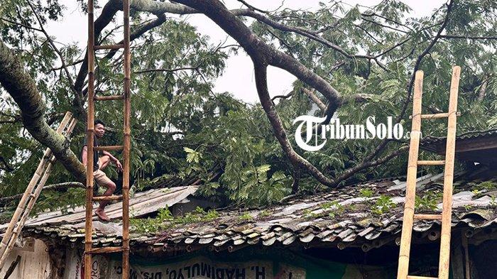 Hujan dan Angin Kencang di Karanganyar Jateng, Pohon Petai Tumbang Timpa Rumah
