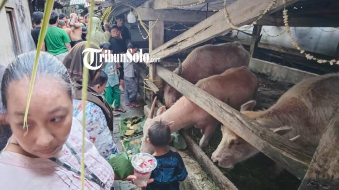 RITUAL. Warga sekitar menyerbu bancakan Kebo Bule menjelang Kirab Suro, kandang lamanya di Gurawan, RT 2 RW 9, Pasar Kliwon pada Selasa (16/6/2026). Ini untuk meminta keselamatan dan kelancaran untuk acara.