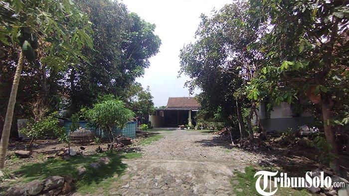 Rumah di Dukuh Mao, Jambeyan, Jatinom, Klaten tidak terdapat pohon pisang menghindari pantangan yang dipercaya warga setempat.