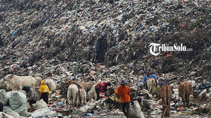 SAMPAH MEMBLUDAK - Tempat Pembuangan Akhir (TPA) Putri Cempo Solo, Rabu (8/4/2026). PSEL Putri Cempo masih belum mampu mengolah sampah sesuai target menjelang tenggat penghentian sistem open dumping di Tempat Pemrosesan Akhir (TPA) Putri Cempo yang berakhir pada 26 September 2026.