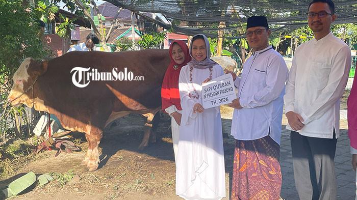 SAPI KURBAN PRABOWO - Presiden Republik Indonesia Prabowo Subianto menyalurkan hewan kurban sapi di Kabupaten Sukoharjo pada momentum Hari Raya Iduladha 2026. Penyerahan sapi kurban dilakukan kepada Yayasan Al Mukaromah di Desa Banaran, Kecamatan Grogol, Kabupaten Sukoharjo, pada Rabu (27/5/2026). Hewan kurban tersebut selanjutnya akan disalurkan kepada masyarakat melalui Masjid Al Ikhlas Desa Banaran.