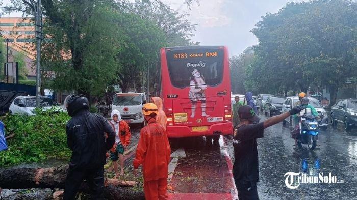 POHON TUMBANG - Sejumlah pohon tumbang usai hujan deras disertai angin melanda kota Solo pada Rabu (7/5/2025) sore. Setidaknya dari catatan sementara Dinas Penanggulangan Bencana Daerah (BPBD) Kota Solo, terdapat 9 pohon tumbang di titik yang berbeda.