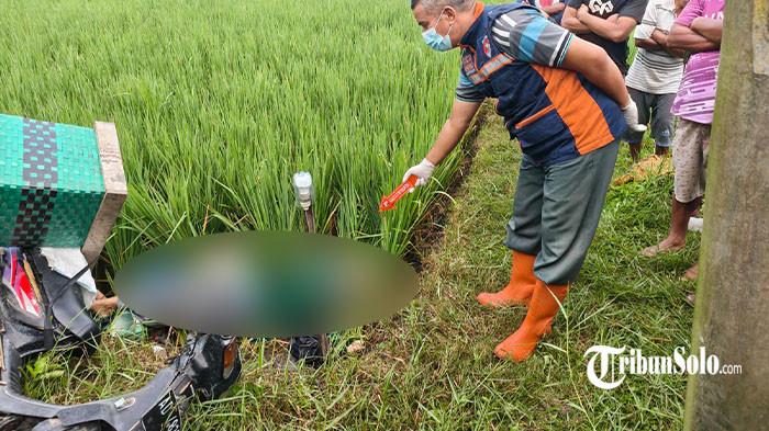 OLAH TKP - Suasana olah tempat kejadian perkara (TKP) temuan mayat perempuan. Seorang perempuan ditemukan tewas di area persawahan Desa Banaran, Kecamatan Sambungmacan, Kabupaten Sragen, Jawa Tengah, pada Selasa (28/4/2026) pagi.