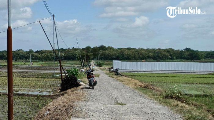 KABEL POMPA RAIB - Suasana sawah di Desa Canden, Kecamatan Sambi, Jumat (28/11/2025). Satu per satu mesin pompa irigasi mendadak mati lantaran kabel untuk mengalirkan daya telah raib.