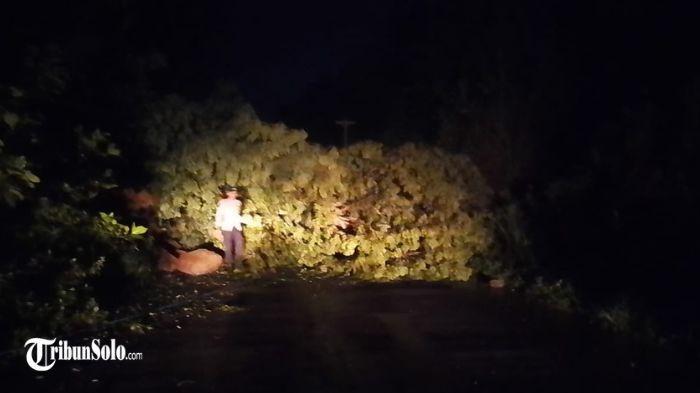 LONGSOR - Tanah longsor menutup total Jalan Lingkar Kota (JLK) Wonogiri pada Kamis (5/3/2026) malam. Akibatnya, jalur alternatif tersebut tidak bisa dilalui kendaraan karena material longsoran menutupi seluruh badan jalan.