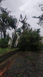 Pasca Gangguan Cuaca, PLN Berhasil Pulihkan Listrik Pasca di Solo dan Sukoharjo