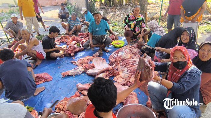 DAGING KURBAN - Warga memotong daging kurban. Dinas Ketahanan Pangan dan Pertanian (DKPP) Kabupaten Klaten menemukan seekor sapi kurban yang diduga terindikasi penyakit mulut dan kuku (PMK) saat pemantauan penyembelihan hewan kurban Idul Adha 2026.