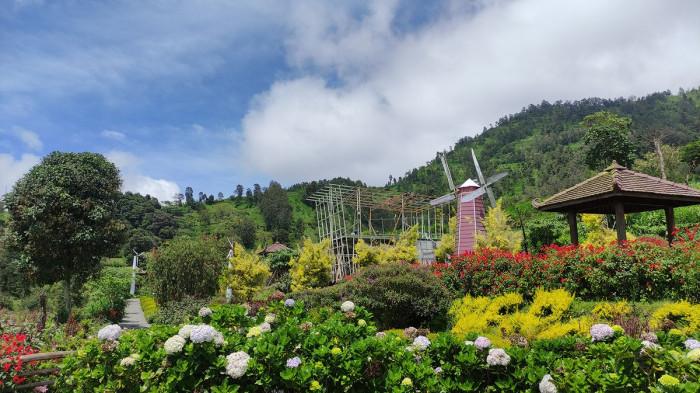 WISATA DI BOYOLALI. Wisata Merapi Garden di Kecamatan Selo, Boyolali. Pengunjung bisa berfoto di berbagai jenis bunga nan indah dengan latar Gunung Merapi.