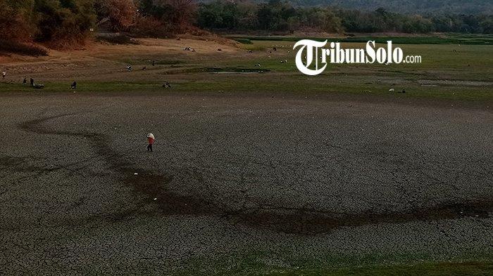 Musim Kemarau Diprediksi Hingga November, Sumber Air di Wonogiri Banyak Menurun
