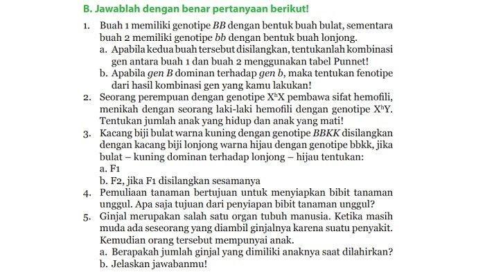 Kunci Jawaban IPA Kelas 9 Halaman 159 Kurikulum Merdeka: Uji Kompetensi Bagian B