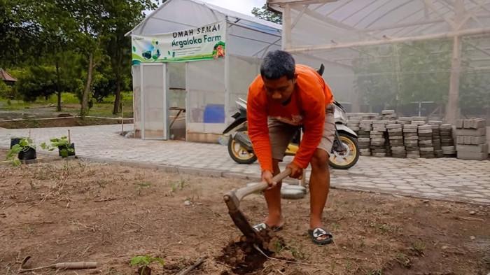 petani milenial produktif