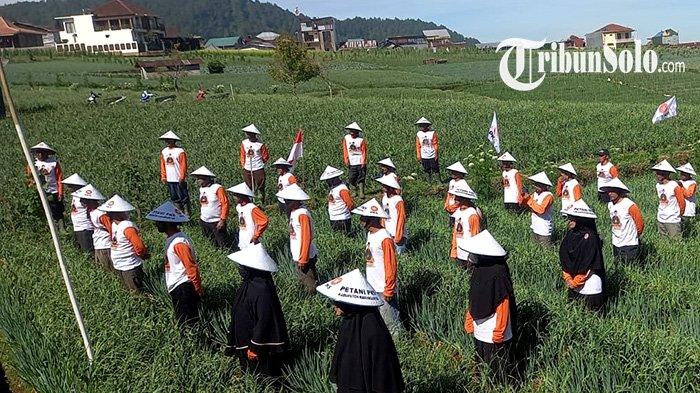 PETANI BAWANG - Ilustrasi petani, belum lama ini. Fenomena cuaca El Nino yang biasanya berdampak negatif pada sektor pertanian ternyata membawa keuntungan tersendiri bagi sebagian petani hortikultura di Kabupaten Karanganyar, Jawa Tengah.