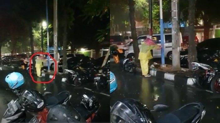 Kisah di Balik Viralnya Wanita Payungi Kucing Liar yang Sedang Makan di Jalan Slamet Riyadi Solo