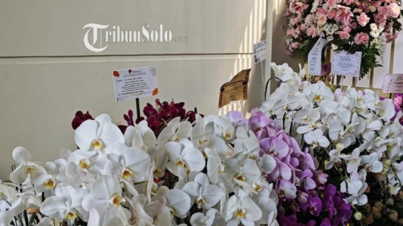 Tribun