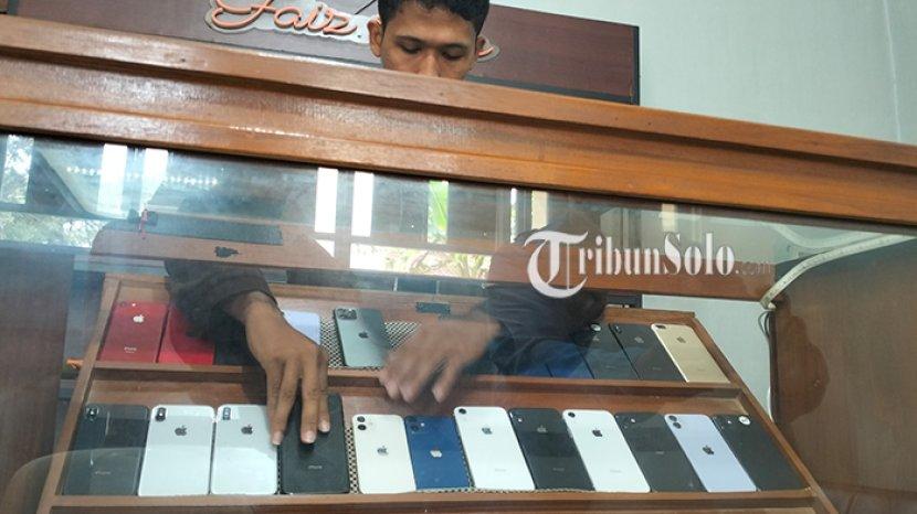 Tribun