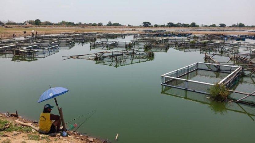 4 Rekomendasi Spot Mancing di Sukoharjo Jateng, Serunya Berburu Ikan Gabus hingga Ikan Predator