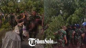 1-orang-meninggal-dunia-tertimpa-pohon.jpg